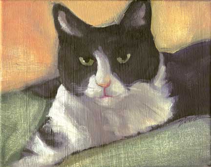 "Black & White Cat, small oil painting by Paula Zima