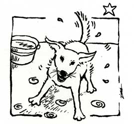 cloud star dog wash illustration by paula zima
