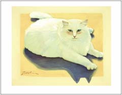 Greeting card, Large White Cat