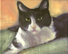 Black and White Cat""