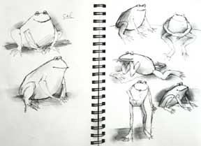 sketches for Cal