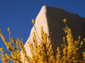 Spring color