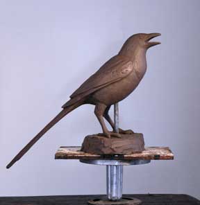 magpie in clay