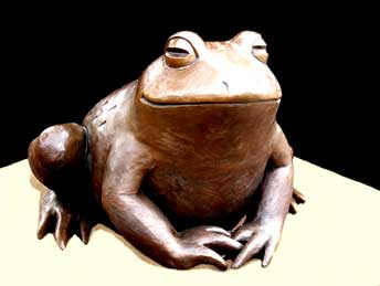 Cal,  the large frog, another view.