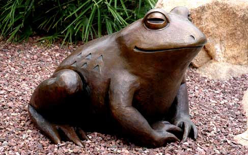 "Cal" the frog, alternate view